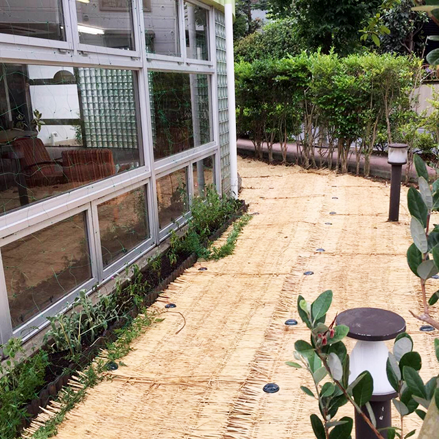 Gardening at courtyard／中庭で植栽＠DK HOUSE TOKYO-NERIMA／DKハウス東京