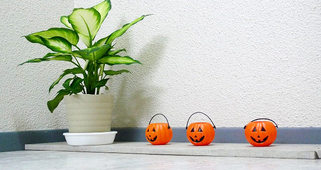 The Halloween decorations＠DK HOUSE KOBE／DKハウス神戸
