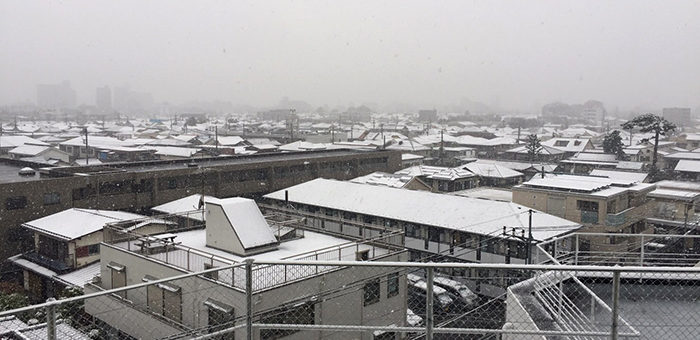 Snow in Tokyo@DK HOUSE TOKYO・NERIMA／東京・練馬