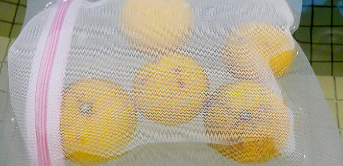 Hot citron bath (Yuzu yu) ＠DK HOUSE KOBE／DKハウス神戸